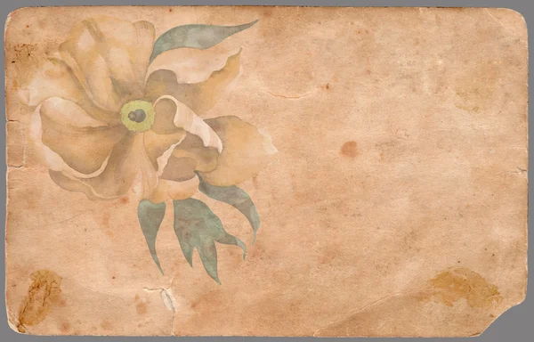 Винтажный шабби фон с цветком — стоковое фото