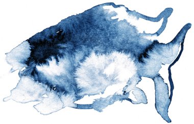 mürekkeple çizilmiş balık