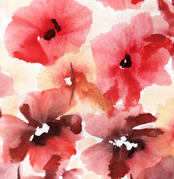 Roztomilý květinové pozadí. Akvarel mák Stock Snímky