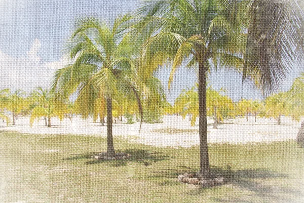 Praia caribenha com palmeiras, ilha paradisíaca — Fotografia de Stock