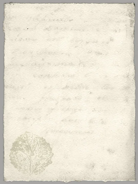 Винтажная бумага и лист гербария — стоковое фото