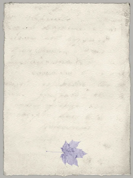 Vinobraní papír a list z herbáře Stock Obrázky