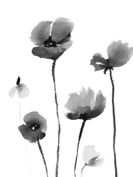 Cute floral background. Watercolor poppies — Stock Photo, Image