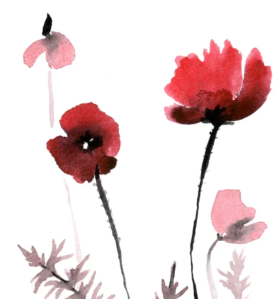 Söt blommig bakgrund. akvarell vallmo — Stockfoto