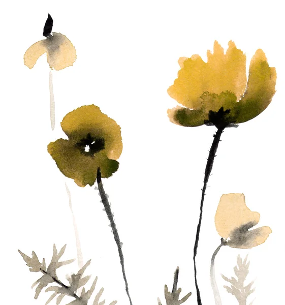 Roztomilý květinové pozadí. Akvarel mák — Stock fotografie
