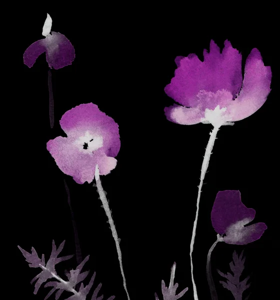 Schattig floral achtergrond. Aquarel papavers — Stockfoto