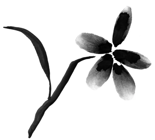 Милий квіткові фону. Китайський аквареллю квіти — стокове фото