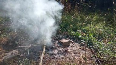 Doğa yürüyüşünde kamp ateşinin dumanı. Turist şenlik ateşi. Video