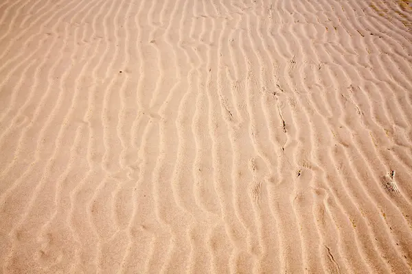 Sand texture on beach splash with water — Stok fotoğraf