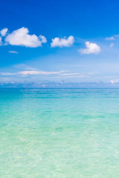 Tropikalne morze niebieski niebo pionowy — Zdjęcie stockowe