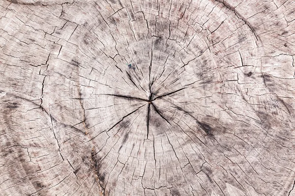 Corte a superfície de textura de madeira velha — Fotografia de Stock
