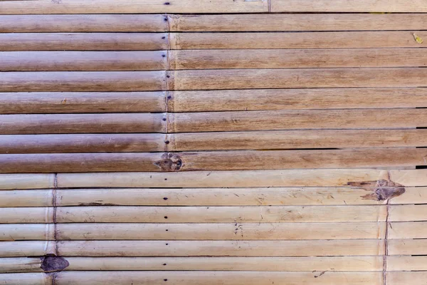 Bambu randigt mönster — Stockfoto
