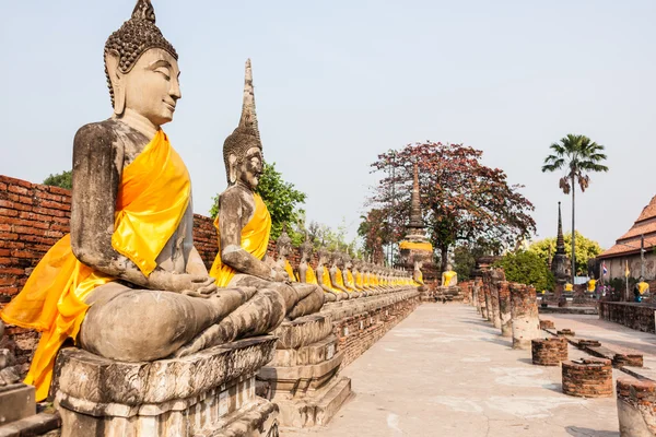 Socha Buddhy v řádku — Stock fotografie