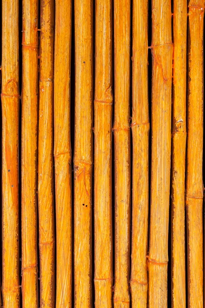 Kesintisiz sarı bambu stick çizgili desen — Stok fotoğraf