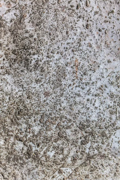 Безшовні бетонні текстури — стокове фото