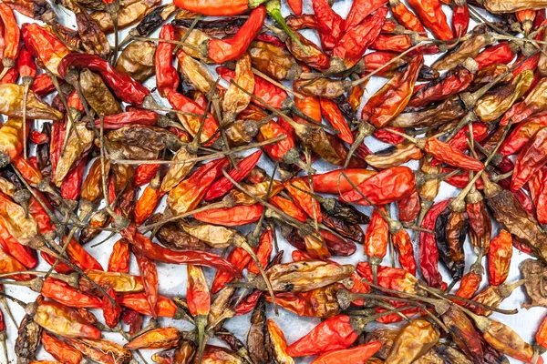 Suche czerwone chili — Zdjęcie stockowe