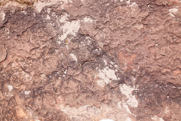 Naturligt mønster på brun stenoverflade - Stock-foto