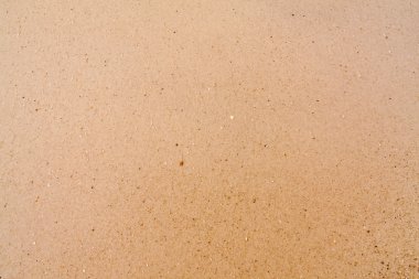 sarı kahverengi kum plaj