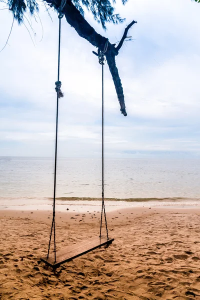 Wooden swing hanging on tree — Stock Photo, Image