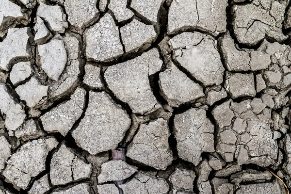 Struttura a terra screpolata — Foto Stock