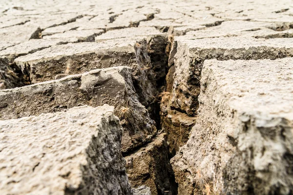 Cracked ground texture — Stock Photo, Image