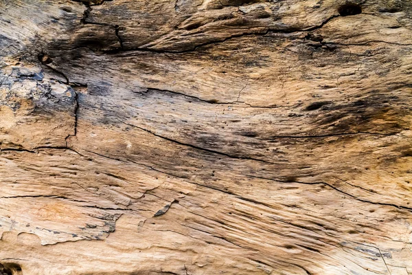 Bruin log houtstructuur — Stockfoto