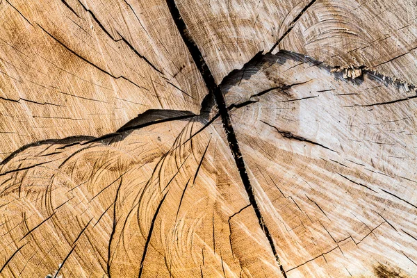 Corte textura de madeira marrom — Fotografia de Stock