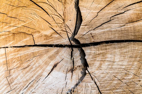 Corte textura de madeira marrom — Fotografia de Stock