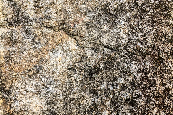 Pęknięty powierzchni betonu — Zdjęcie stockowe