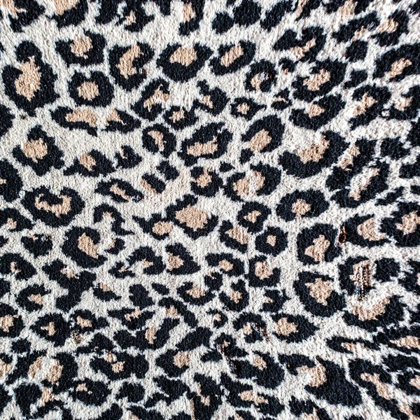 Alfombra de tigre de leopardo blanco y negro — Foto de Stock