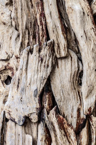 Many pieces of teak wood background — Stock Photo, Image