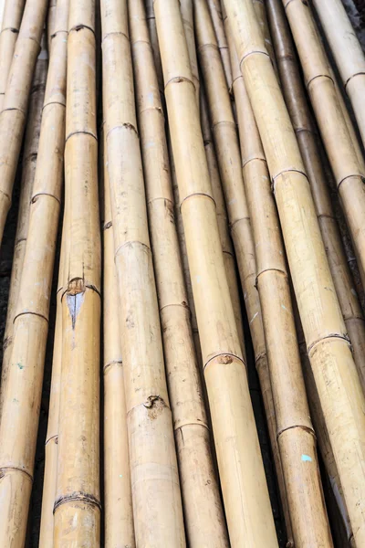 竹木材 — 图库照片