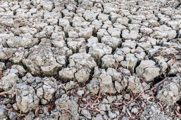 Terreno secco incrinato — Foto Stock