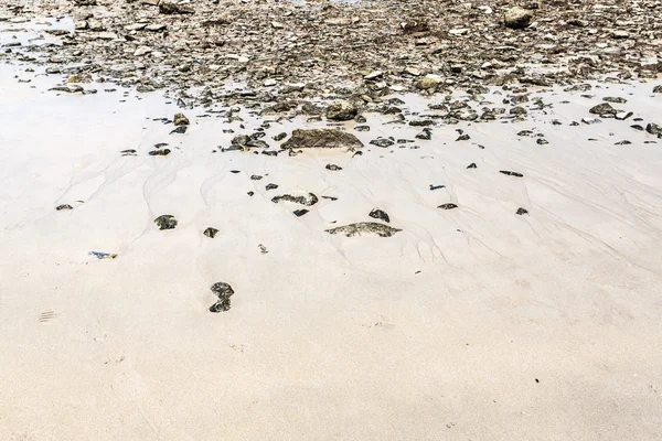 岩や砂のビーチ — ストック写真