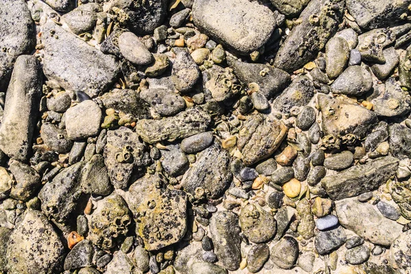 Rocce sulla spiaggia di sabbia — Foto Stock