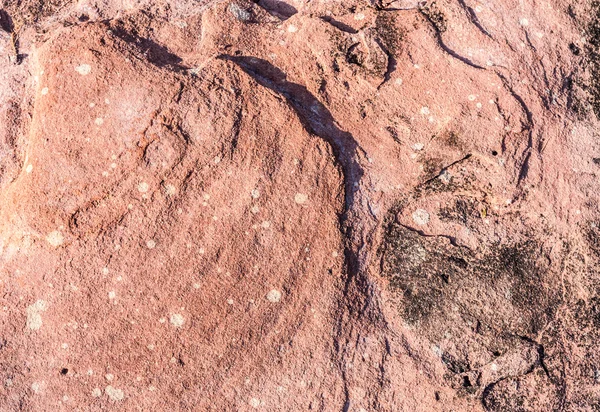 Brown rock texture — Stock Photo, Image