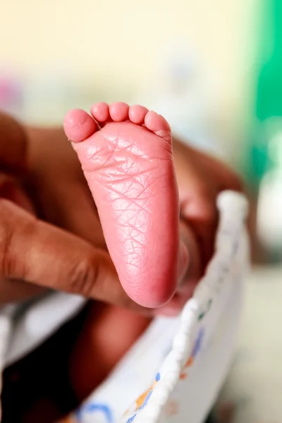 Mãos segurar bebê recém-nascido pé — Fotografia de Stock