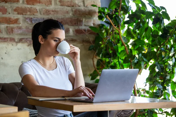 Woman Good Mood Cup Coffee Sitting Cafe Bright Sunny Morning — Stok fotoğraf