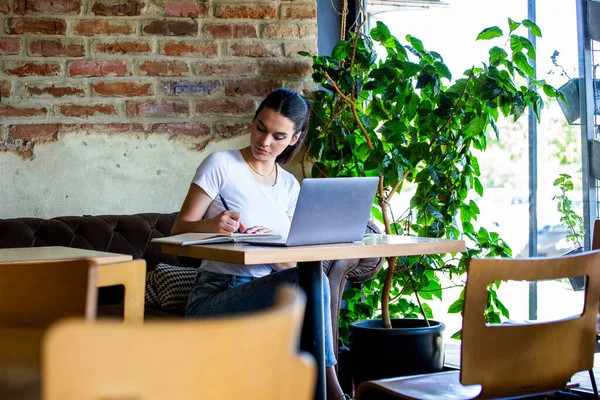 Young Businesswoman Working Cafeteria Her Break Woman Taking Break Enjoying — Stock Photo, Image