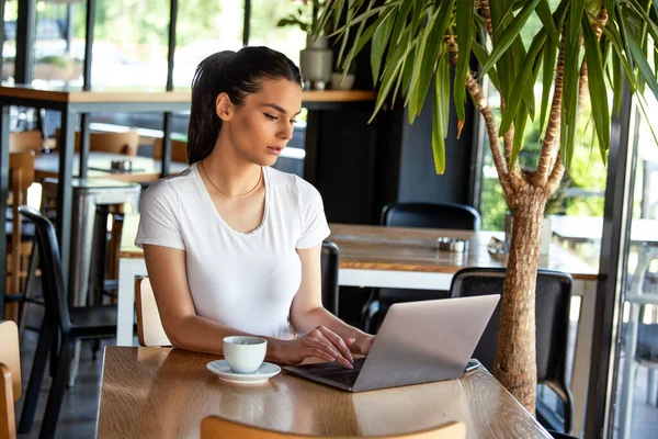 Woman working on laptop at a cafe. Young woman working on a laptop. Beautiful young woman working with laptop from coffee shop. Attractive woman sitting in a cafe with a laptop