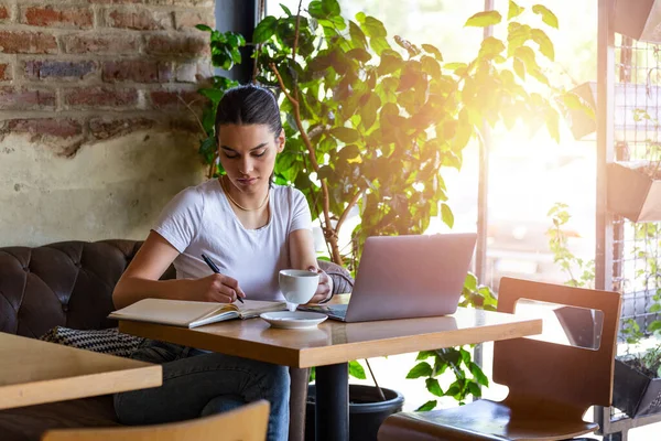 Young Business Woman Working Cafeteria Her Break Student Studying Coffee — Stock Photo, Image