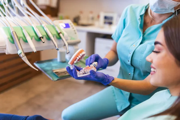 Pretty Dentist Doctor Woman Brushing Jaw Model Dental Clinic Dental — Φωτογραφία Αρχείου