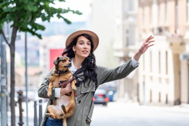 Young woman with dog waving to stop a taxi on the street. young female with funny dog stretching out arm and catching taxi while standing on roadside in city
