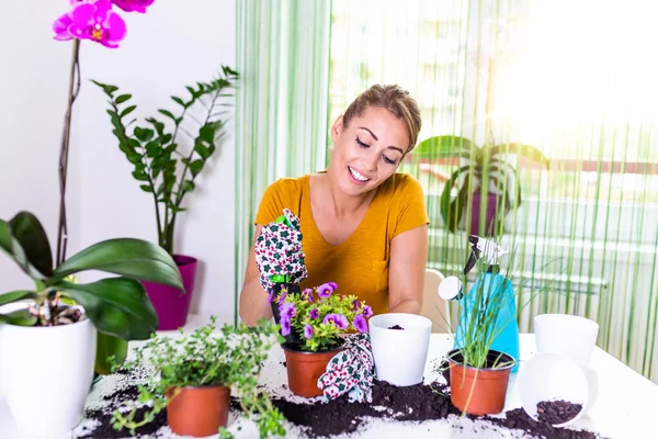 Planting pots. Woman gardening in pots. Plant care. Gardening is more than hobby. Lovely housewife with flower in pot and gardening set. Care for a potted plant