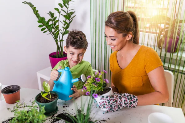 Family mother and son grow flowers, transplant seedlings in the gardeners. Lovely mother with her boy taking care of flower in pot and gardening set. Care for a potted plant