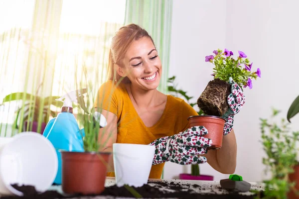 Lovely housewife with flower in pot and gardening set. Work at home. Planting a flower and spring cleaning. The housewife changes ground for a plant. Care for a potted plant