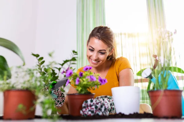 Work in the garden, planting pots. Woman gardening in pots. Plant care. Gardening is more than hobby.Lovely housewife with flower in pot and gardening set. Planting home plants indoors