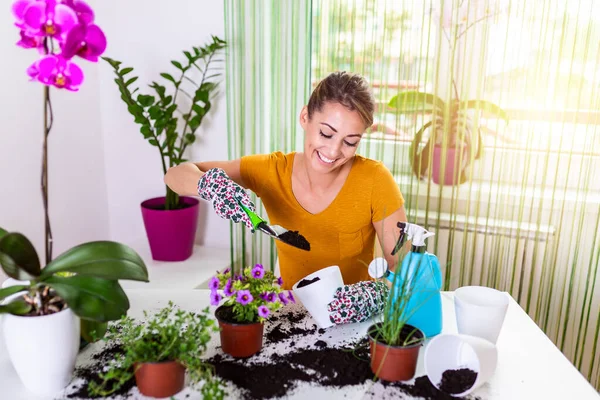 Work in the garden, planting pots. Woman gardening in pots. Plant care. Gardening is more than hobby.Lovely housewife with flower in pot and gardening set. Planting home plants indoors