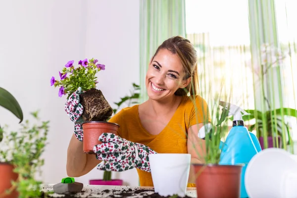 Lovely housewife with flower in pot and gardening set. Work at home. Planting a flower and spring cleaning. The housewife changes ground for a plant. Care for a potted plant