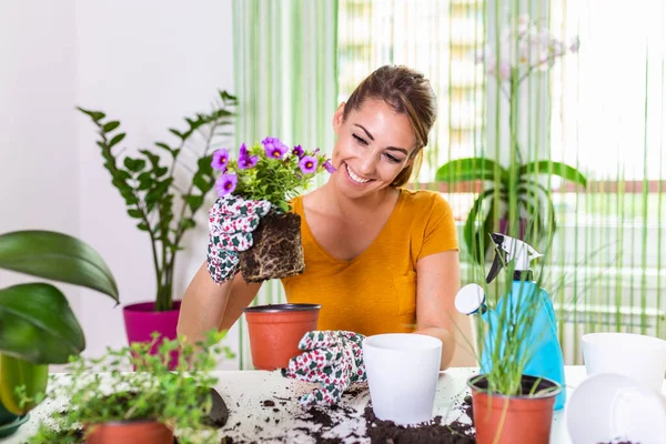 Planting pots. Woman gardening in pots. Plant care. Gardening is more than hobby. Lovely housewife with flower in pot and gardening set. Care for a potted plant